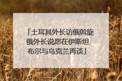 土耳其外长访俄斡旋 俄外长说愿在伊斯坦布尔与乌克兰再谈