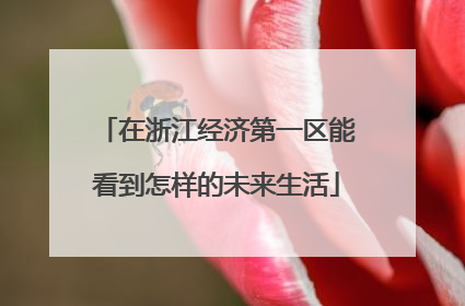 在浙江经济第一区能看到怎样的未来生活