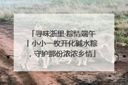 寻味浙里·粽情端午丨小小一枚开化碱水粽，守护那份浓浓乡情