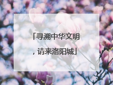 寻溯中华文明，请来洛阳城