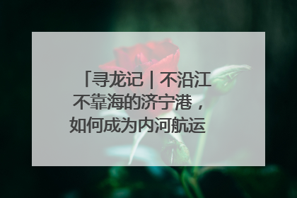 寻龙记｜不沿江不靠海的济宁港，如何成为内河航运的“绝对主力”