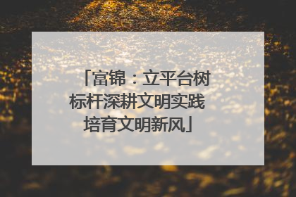 富锦：立平台树标杆深耕文明实践培育文明新风