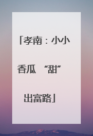 孝南：小小香瓜 “甜”出富路