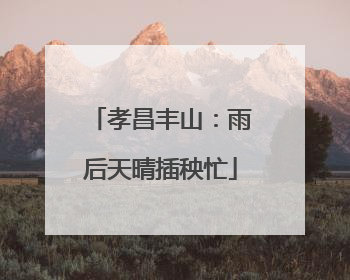 孝昌丰山：雨后天晴插秧忙