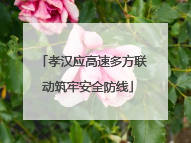 孝汉应高速多方联动筑牢安全防线
