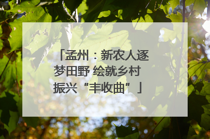孟州：新农人逐梦田野 绘就乡村振兴“丰收曲”