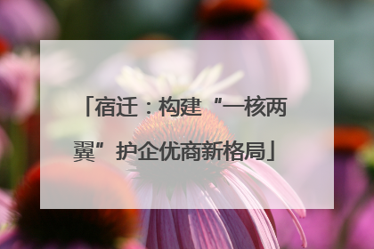 宿迁：构建“一核两翼”护企优商新格局