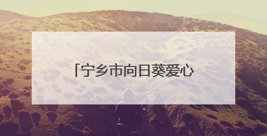 宁乡市向日葵爱心会：十年助学让近三百名学子圆梦大学