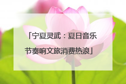宁夏灵武：夏日音乐节奏响文旅消费热浪