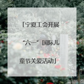 宁夏工会开展“六一”国际儿童节关爱活动