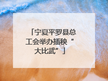 宁夏平罗县总工会举办插秧“大比武”