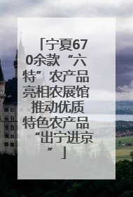 宁夏670余款“六特”农产品亮相农展馆 推动优质特色农产品“出宁进京”