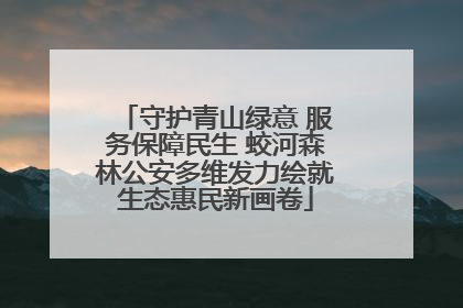 守护青山绿意 服务保障民生 蛟河森林公安多维发力绘就生态惠民新画卷