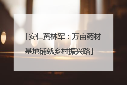 安仁黄林军：万亩药材基地铺就乡村振兴路