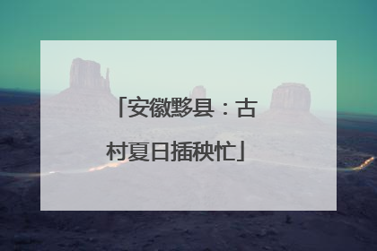 安徽黟县：古村夏日插秧忙