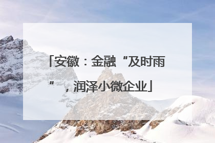 安徽：金融“及时雨”，润泽小微企业