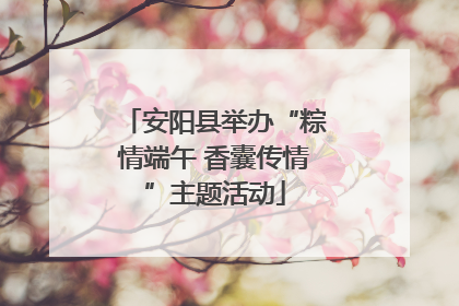 安阳县举办“粽情端午 香囊传情”主题活动