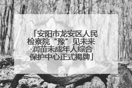 安阳市龙安区人民检察院“豫”见未来·润苗未成年人综合保护中心正式揭牌