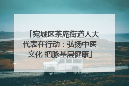 宛城区茶庵街道人大代表在行动：弘扬中医文化 把脉基层健康