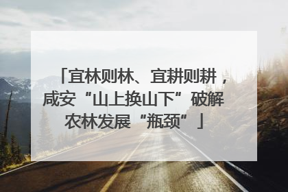 宜林则林、宜耕则耕，咸安“山上换山下”破解农林发展“瓶颈”