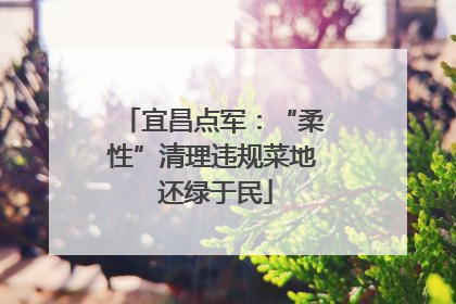 宜昌点军：“柔性”清理违规菜地 还绿于民