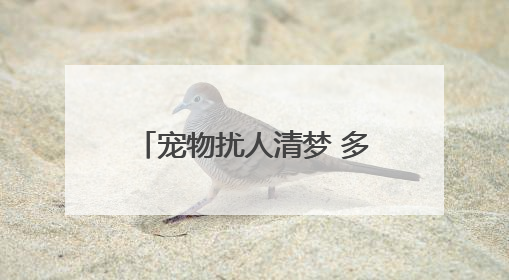宠物扰人清梦 多方合力化解纠纷