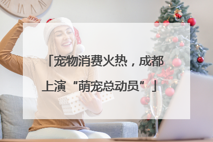 宠物消费火热，成都上演“萌宠总动员”
