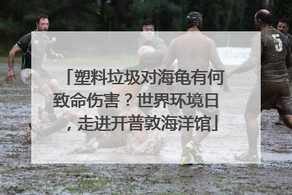 塑料垃圾对海龟有何致命伤害？世界环境日，走进开普敦海洋馆