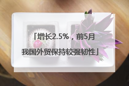增长2.5%，前5月我国外贸保持较强韧性