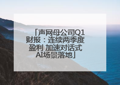 声网母公司Q1财报：连续两季度盈利 加速对话式AI场景落地