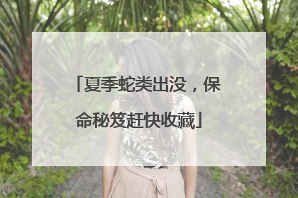 夏季蛇类出没，保命秘笈赶快收藏