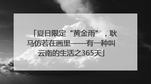 夏日限定“黄金雨”，耿马仿若在画里——有一种叫云南的生活之365天