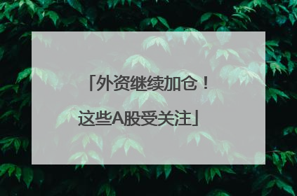 外资继续加仓！这些A股受关注