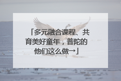 多元融合课程、共育美好童年，普陀的他们这么做→