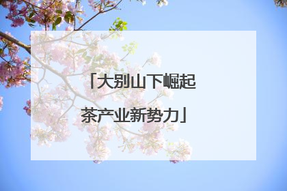 大别山下崛起茶产业新势力