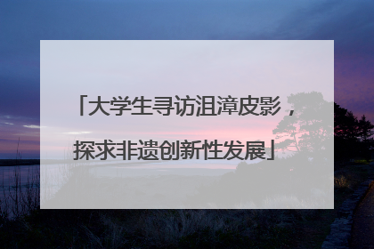 大学生寻访沮漳皮影，探求非遗创新性发展