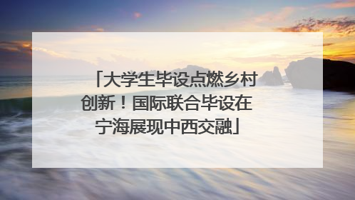 大学生毕设点燃乡村创新！国际联合毕设在宁海展现中西交融