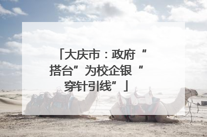 大庆市：政府“搭台”为校企银“穿针引线”