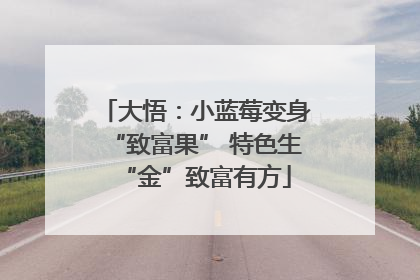 大悟：小蓝莓变身“致富果” 特色生“金”致富有方