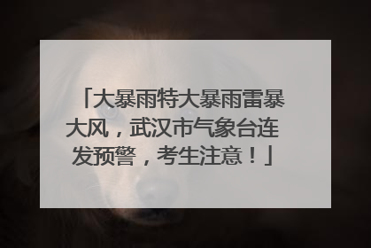 大暴雨特大暴雨雷暴大风，武汉市气象台连发预警，考生注意！