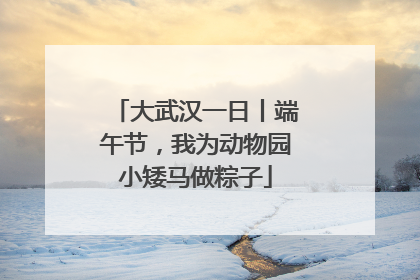大武汉一日丨端午节，我为动物园小矮马做粽子