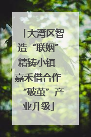 大湾区智造“联姻”精铸小镇 嘉禾借合作“破茧”产业升级