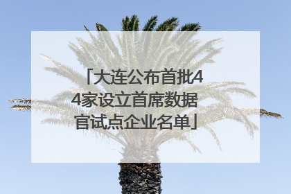 大连公布首批44家设立首席数据官试点企业名单