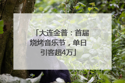 大连金普：首届烧烤音乐节，单日引客超4万