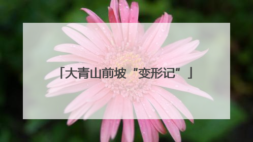 大青山前坡“变形记”