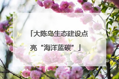 大陈岛生态建设点亮“海洋蓝碳”