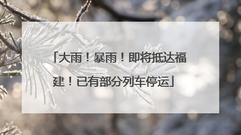 大雨！暴雨！即将抵达福建！已有部分列车停运