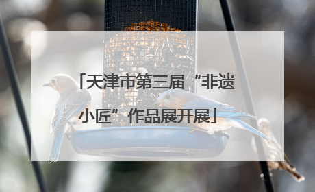 天津市第三届“非遗小匠”作品展开展