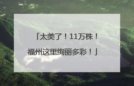 太美了！11万株！福州这里绚丽多彩！