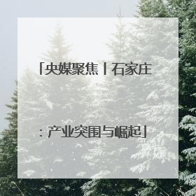 央媒聚焦丨石家庄：产业突围与崛起